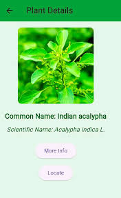 Medicinal Plant Identifier